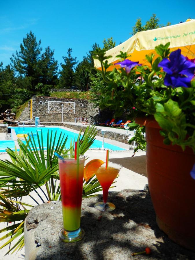 Konitsa Panorama Hotel Екстериор снимка